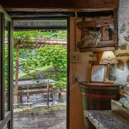 Il Gianlupo By Interhome Chalet Bognanco