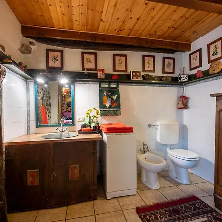 Il Gianlupo By Interhome Chalet Bognanco