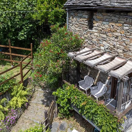 Il Gianlupo By Interhome Bognanco