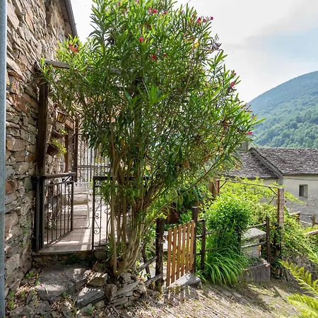 Il Gianlupo By Interhome シャレー